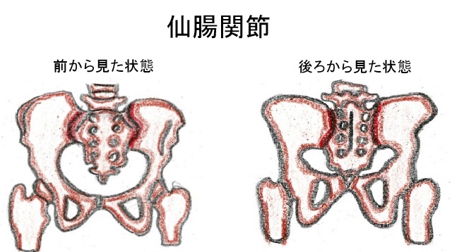 仙腸関節障害