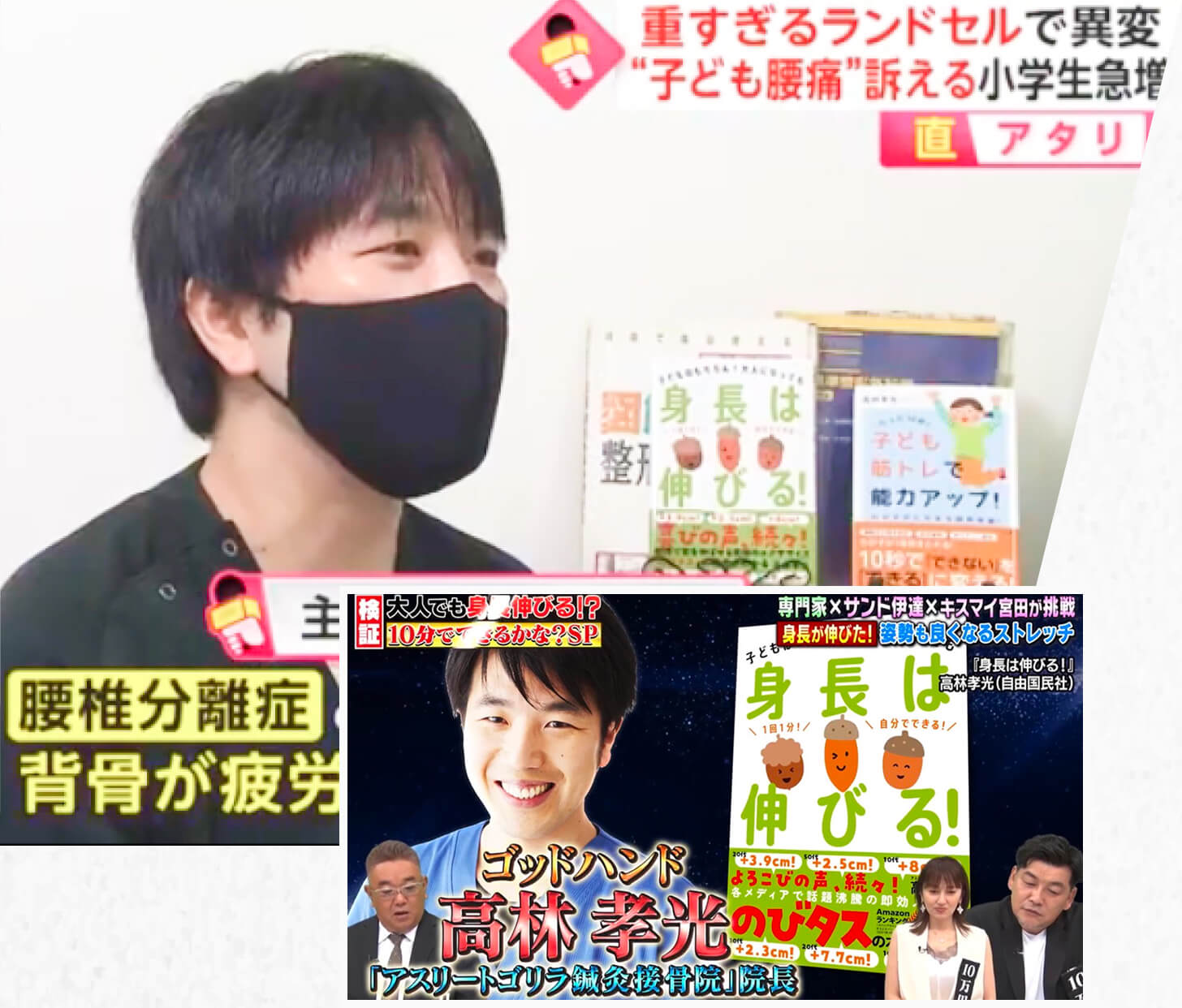 メディア出演実績