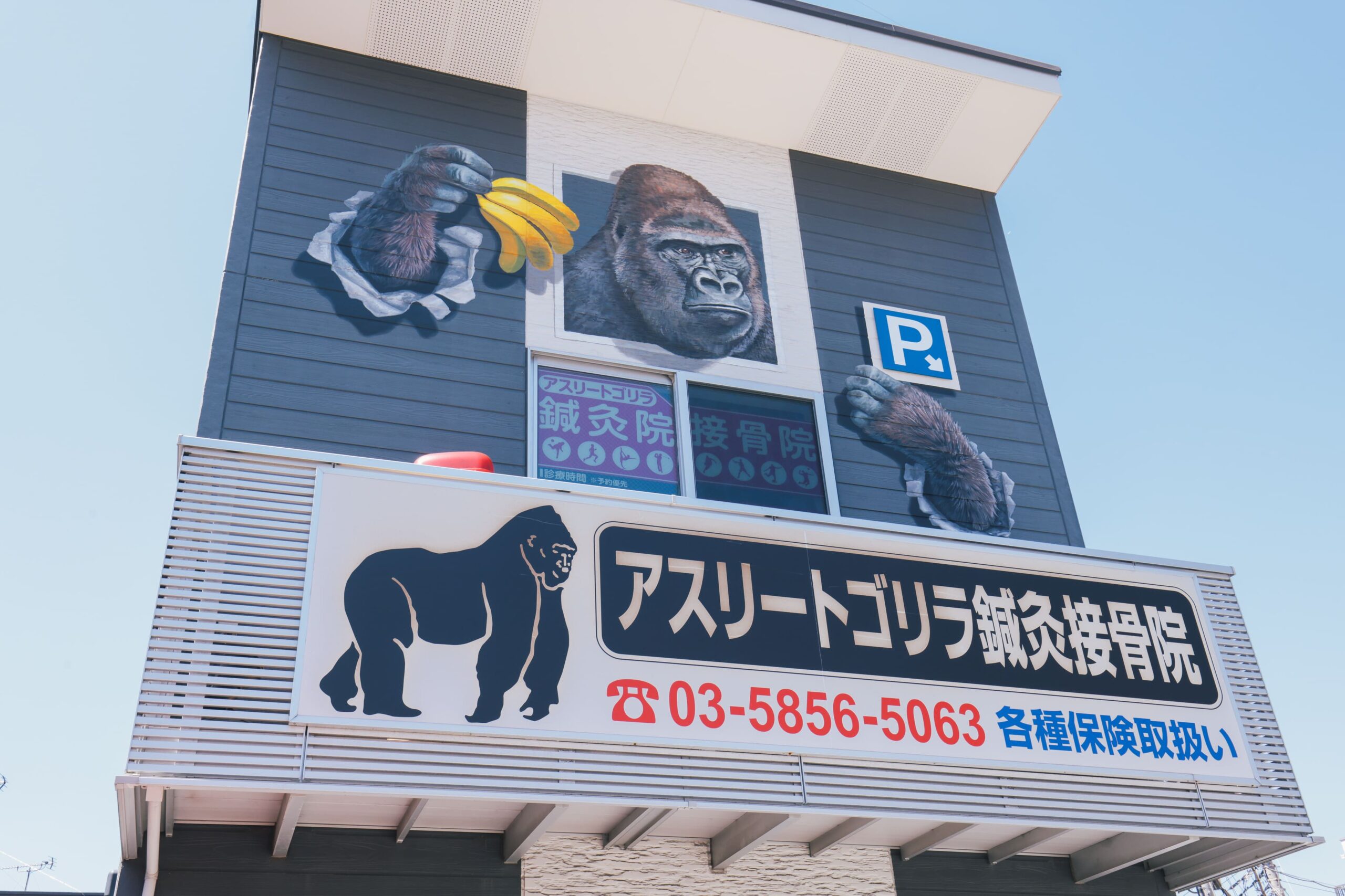 アスリートゴリラ鍼灸接骨院の看板